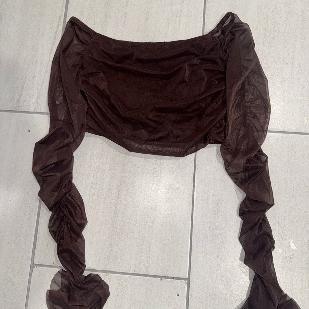 Brown Sheer Long Sleeve Top